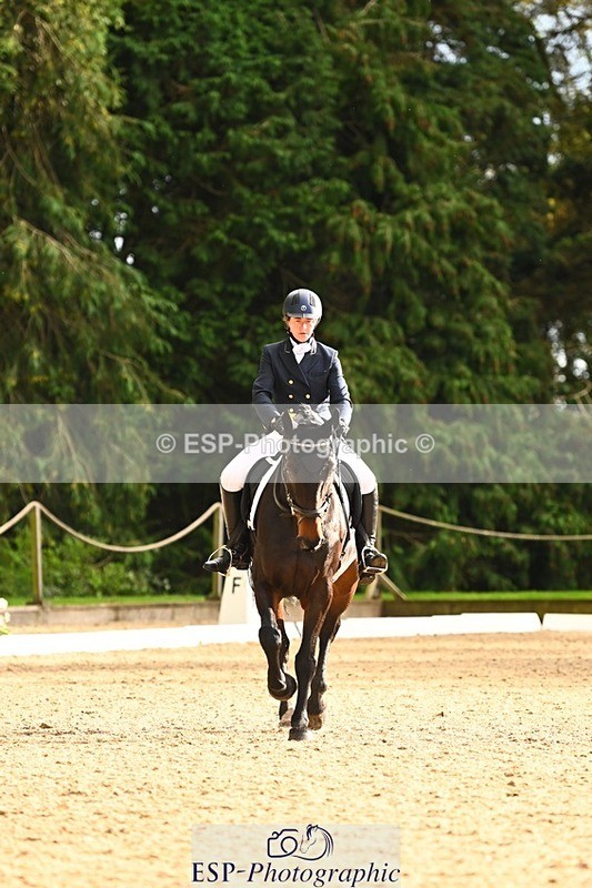 231021-153310-20891 - 259-BOSTON.IV-Rosie.Thomson-DR