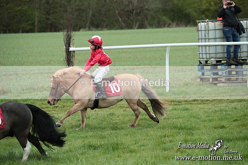 SHETPR 210425 215 - Shetland Ponies Paxford Races 21/04/25