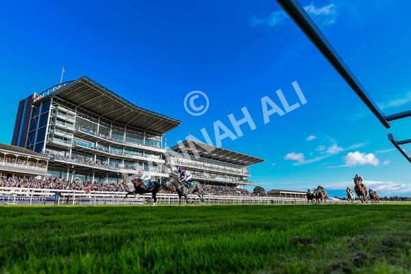 141023-Race 6-Punctuation-4110 - Race 6 4.10pm Coral Get Closer To The Action Handicap