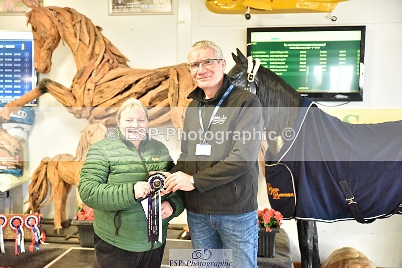 250215-132756-03699 - Freestyle Elementary Gold