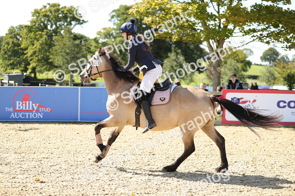 SBM_04846 - J28 - Senior Horse & Pony 60cm Championships