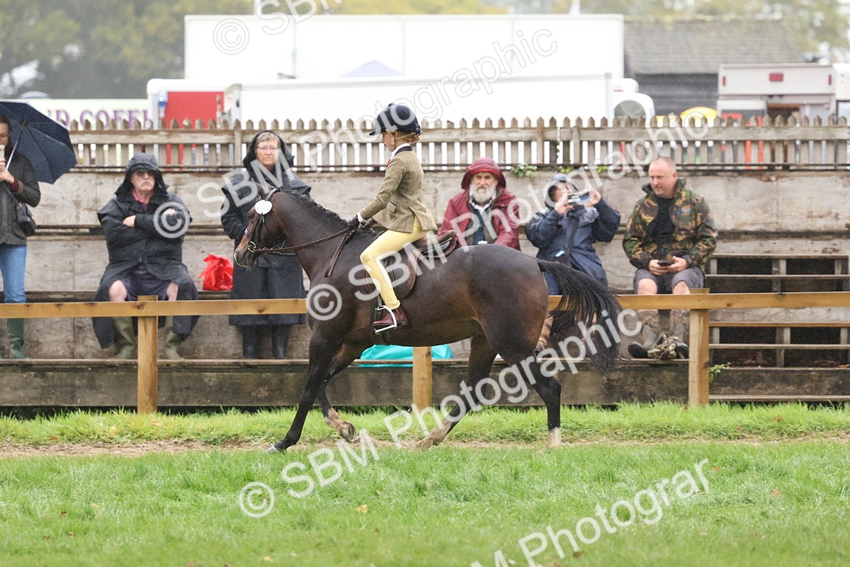 SBM_73023 - S63 Show Pony & Show Hunter Pony Ridden