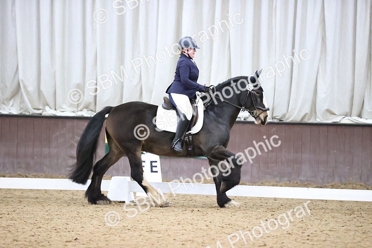 SBM_004299 - Intermediate