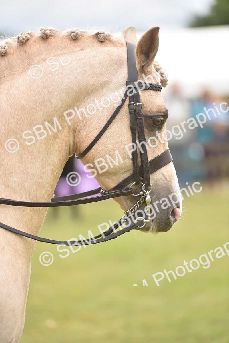 SBM_12126 - Class 110-112 - LIHS BSPS Performance Pones