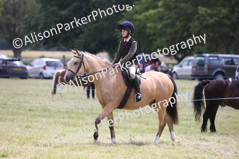 20260614-2114 - Class 21 - Novice Working Hunter Pony