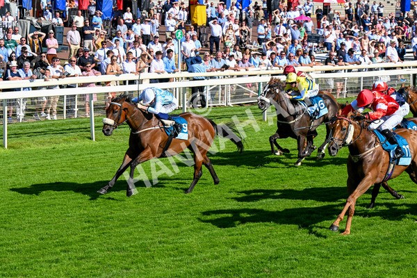 110725-Race 6-Brazen Bolt-0502 - Race 6 5.07pm William Hill Keep Your Raceday Positive Handicap