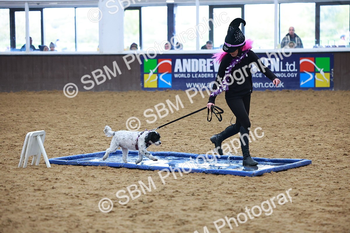 SBM_001577 - Class 3 - Horse & Hound (60cm)