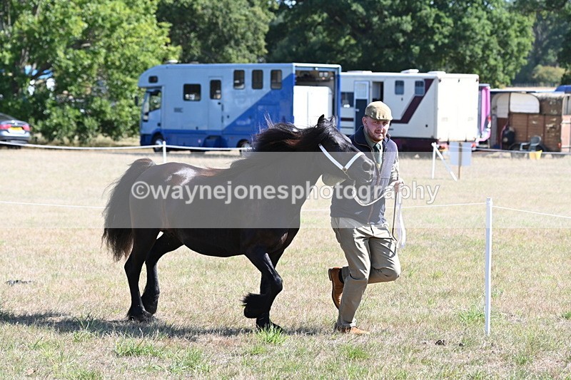 WJ6_4672 - Class 17 Mountain & Moorland