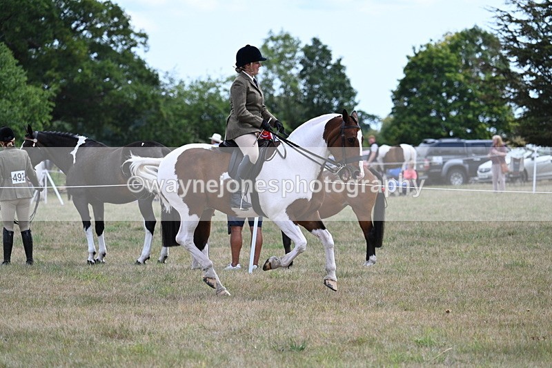 WJ7_5613 - Class 12 Ridden Cob