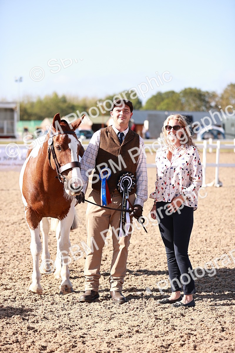 SBM_22089 - Class 703 - IH Coloured