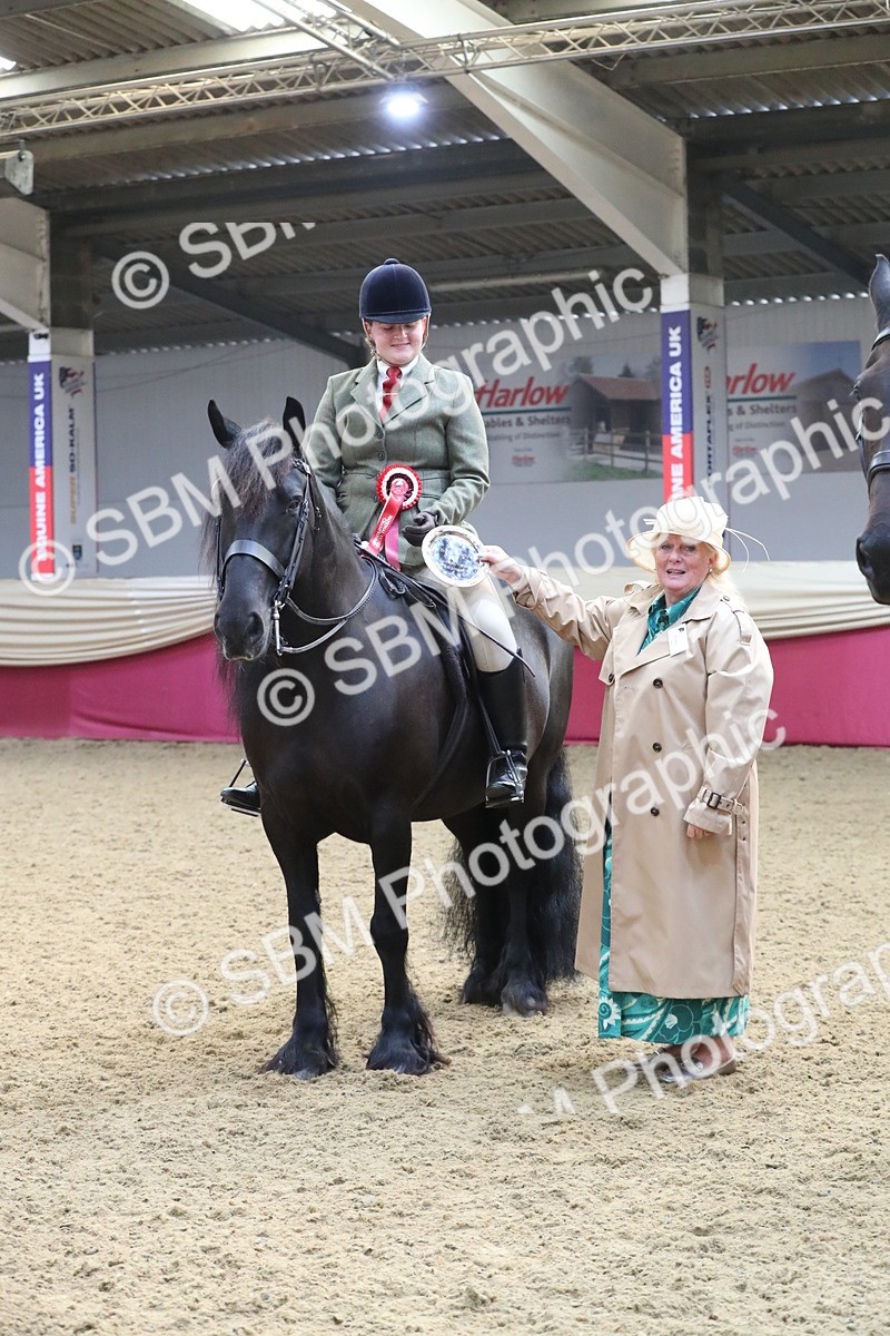 SBM_10443 - Class 102 Equitation (best rider) Adult