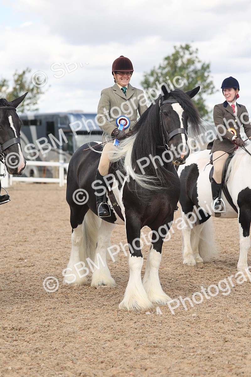 SBM_14844 - Class 308 - Ridden Coloured Horse
