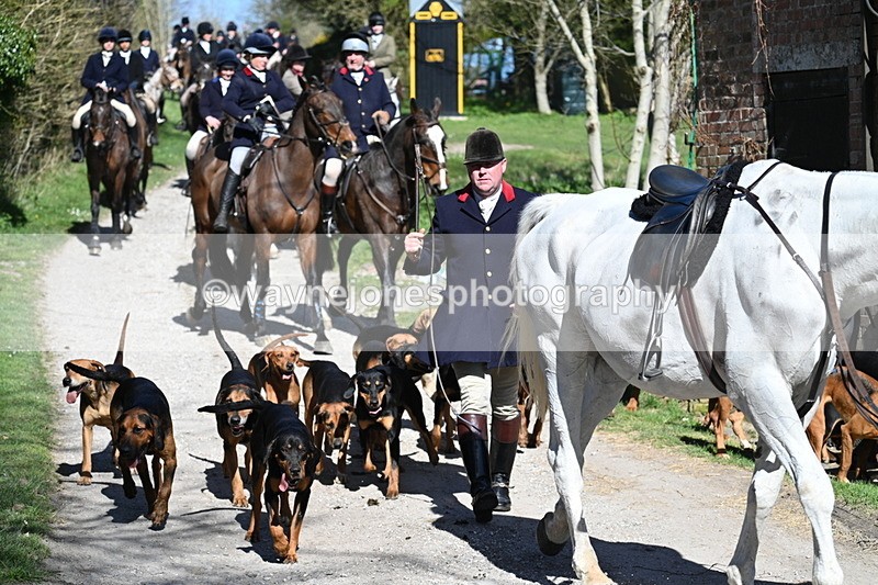 WJ7_9667 - Home for hunt tea !