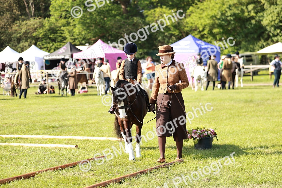 SBM_11282 - Class 106-107 - BSPS LIHS Working Sports Pony