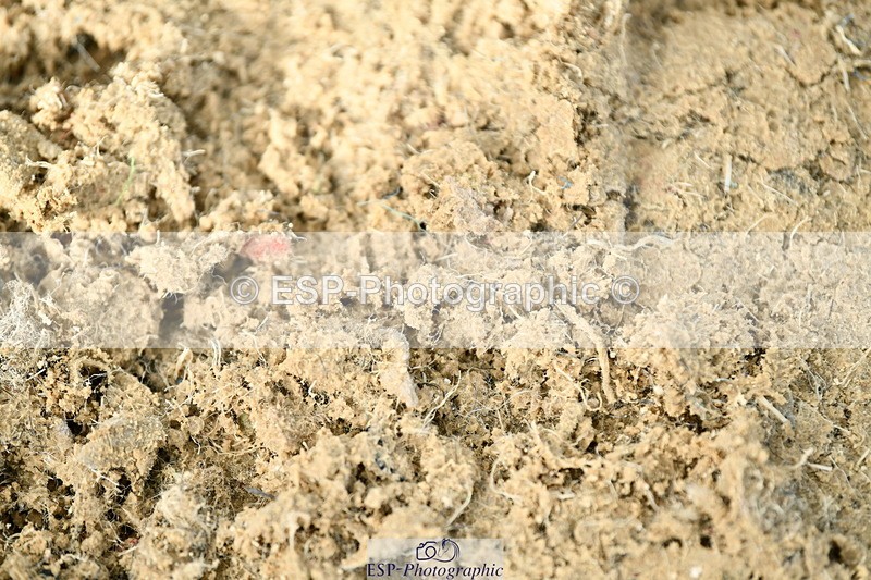 251004A-095731-00314 - Classes 1-2-3 40cm