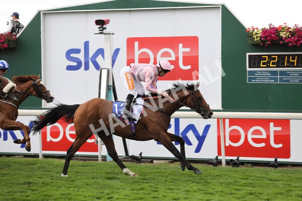 yr19082022r1-25 - Race 1 1.50pm Sky Bet Stakes