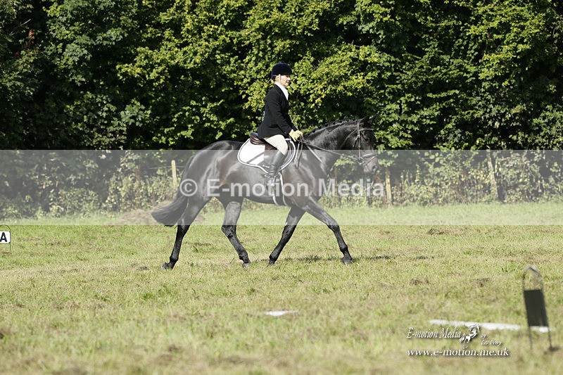 BVRC 120921 259 - Bourne Valley Riding Club UA Dressage & Show Jumping 12/09/21