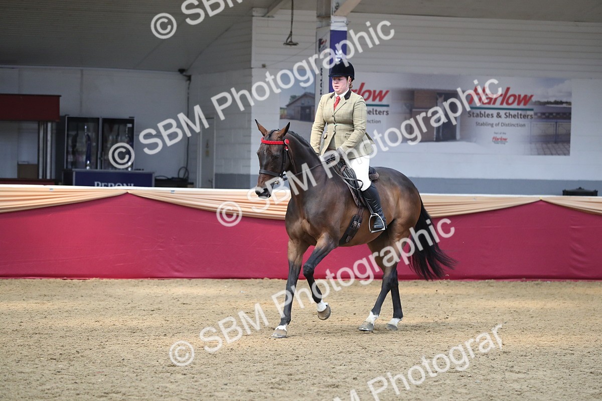 SBM_12382 - Class 108 Ridden Retired Racehorse- Pre Judging