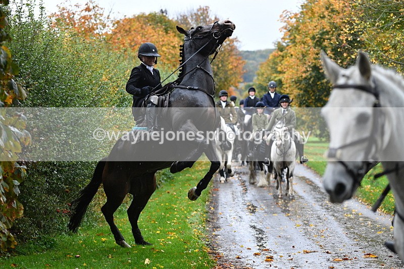 WJ5_6280 - B&B walk back for Hunt Tea !