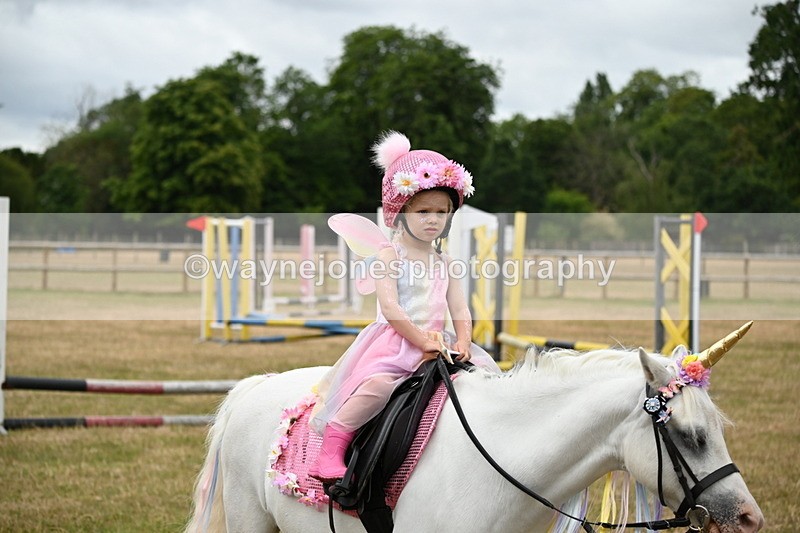 WJ6_4677 - Class 11 Fancy Dress