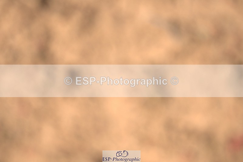 240418A-131621-02932 - Cls 37, Amateur 1.05m
