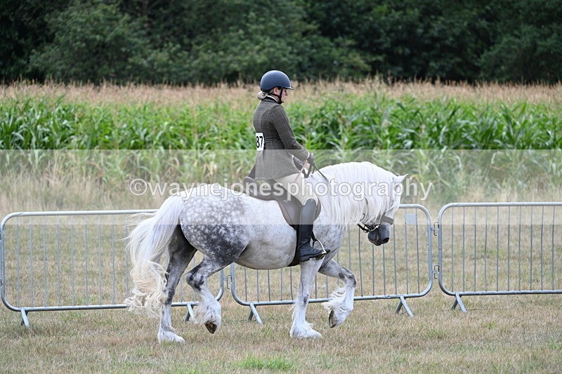 WJ7_4813 - Class 12 Ridden Cob