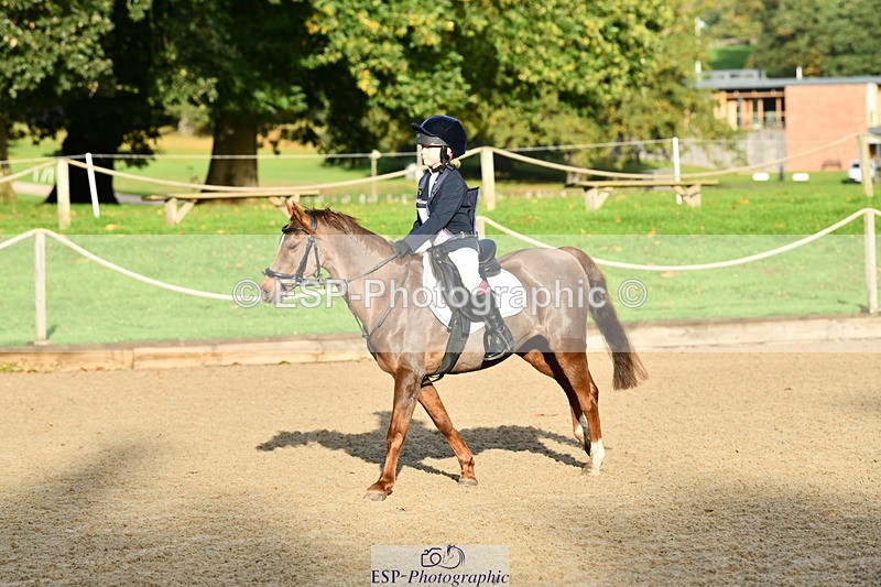 251004A-090148-00029 - Classes 1-2-3 40cm