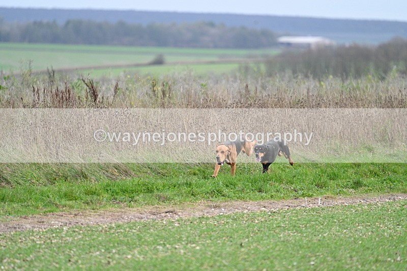 WJ7_2520 - Camera A