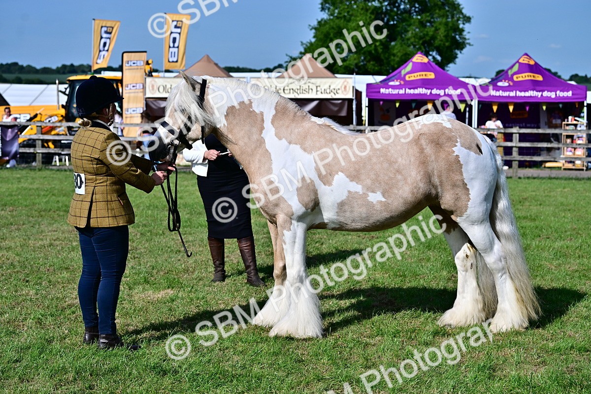 SBM_10100 - Class 63-65 - Traditional Gypsy Cobs In Hand & Ridden