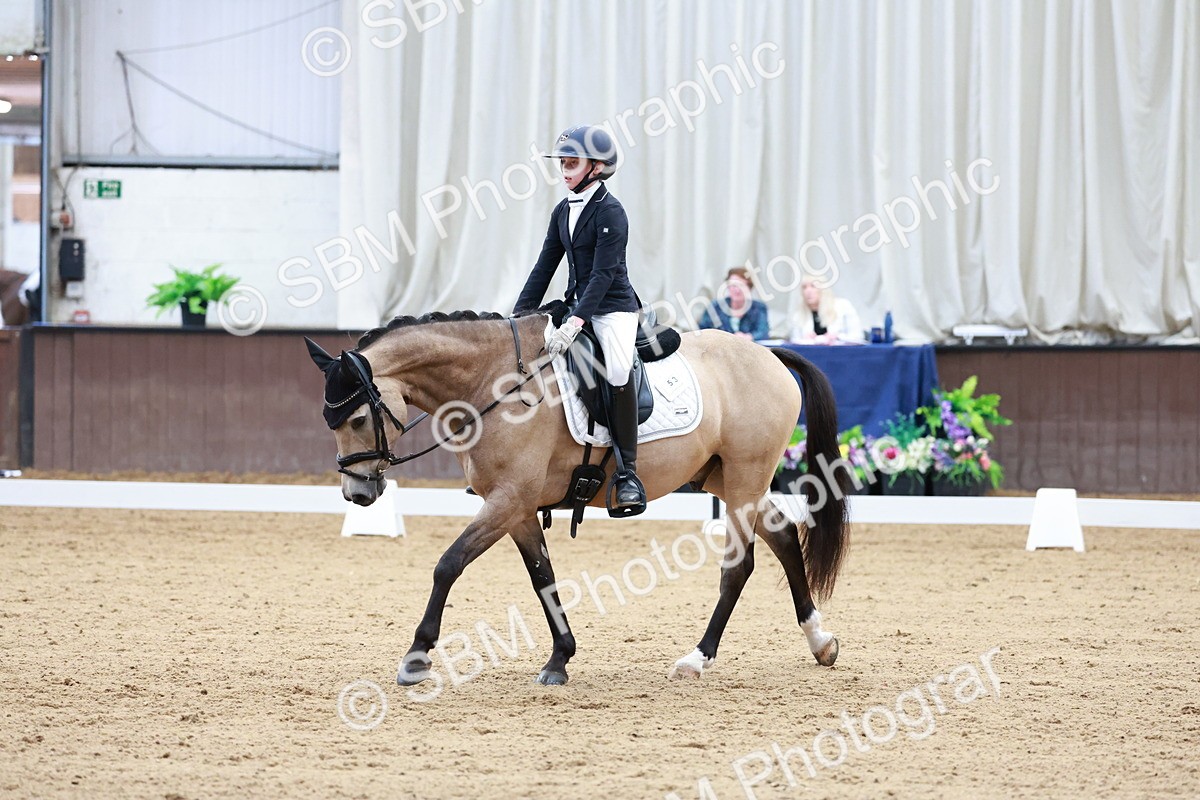 SBM_017218 - Class15 - FEI Pony