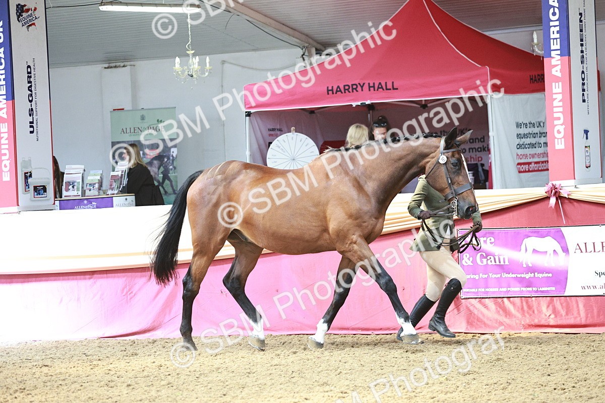 SBM_04755 - Class 7R - Regional IH Diamond