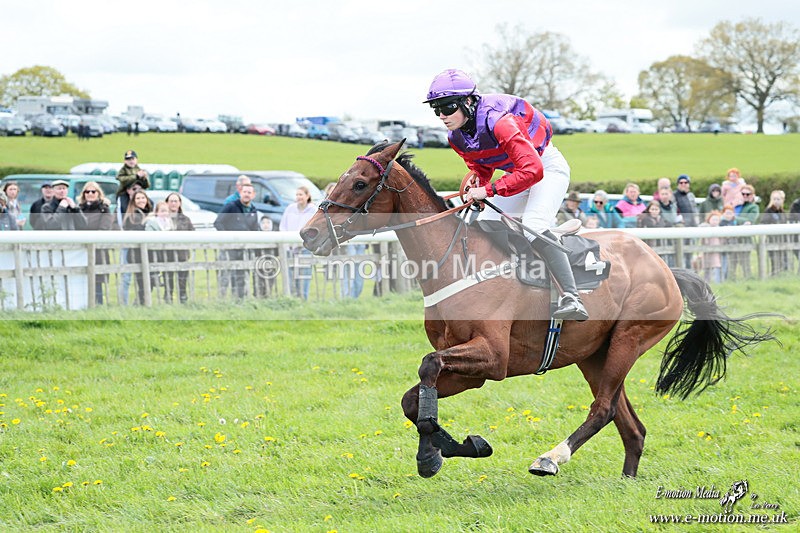 PtP 180426 98 - Worcestershire Hunt PtP Chaddesley Corbett 18/04/26