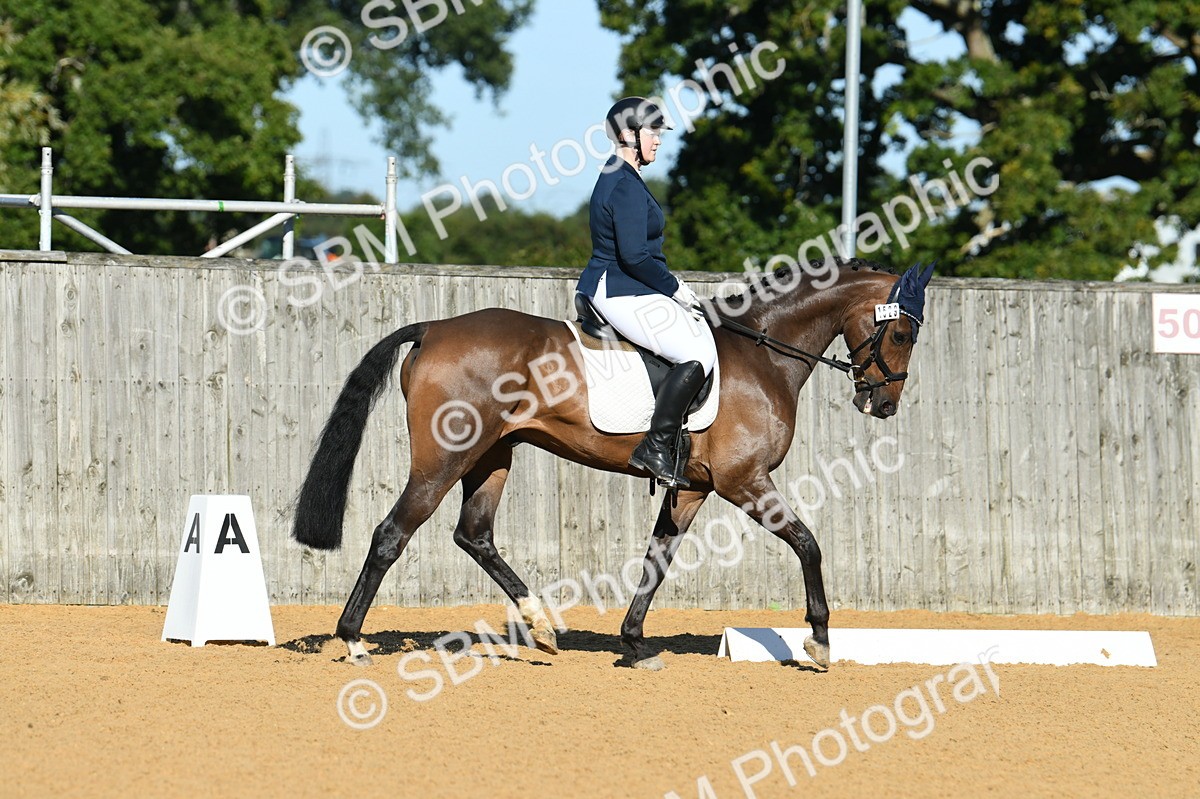 SBM_16143 - D4 - Small Tour Championship - Intro B