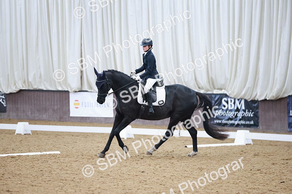 SBM_004715 - Ring 3 - International -  Working Hunter Classes 23-2-25