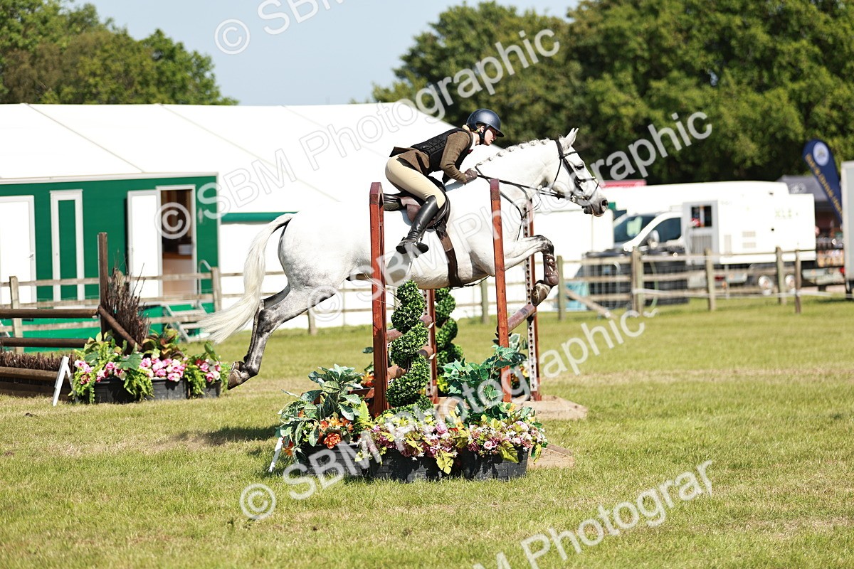 SBM_18454 - Class 112-113 - BSPS LIHS Working Sports Pony