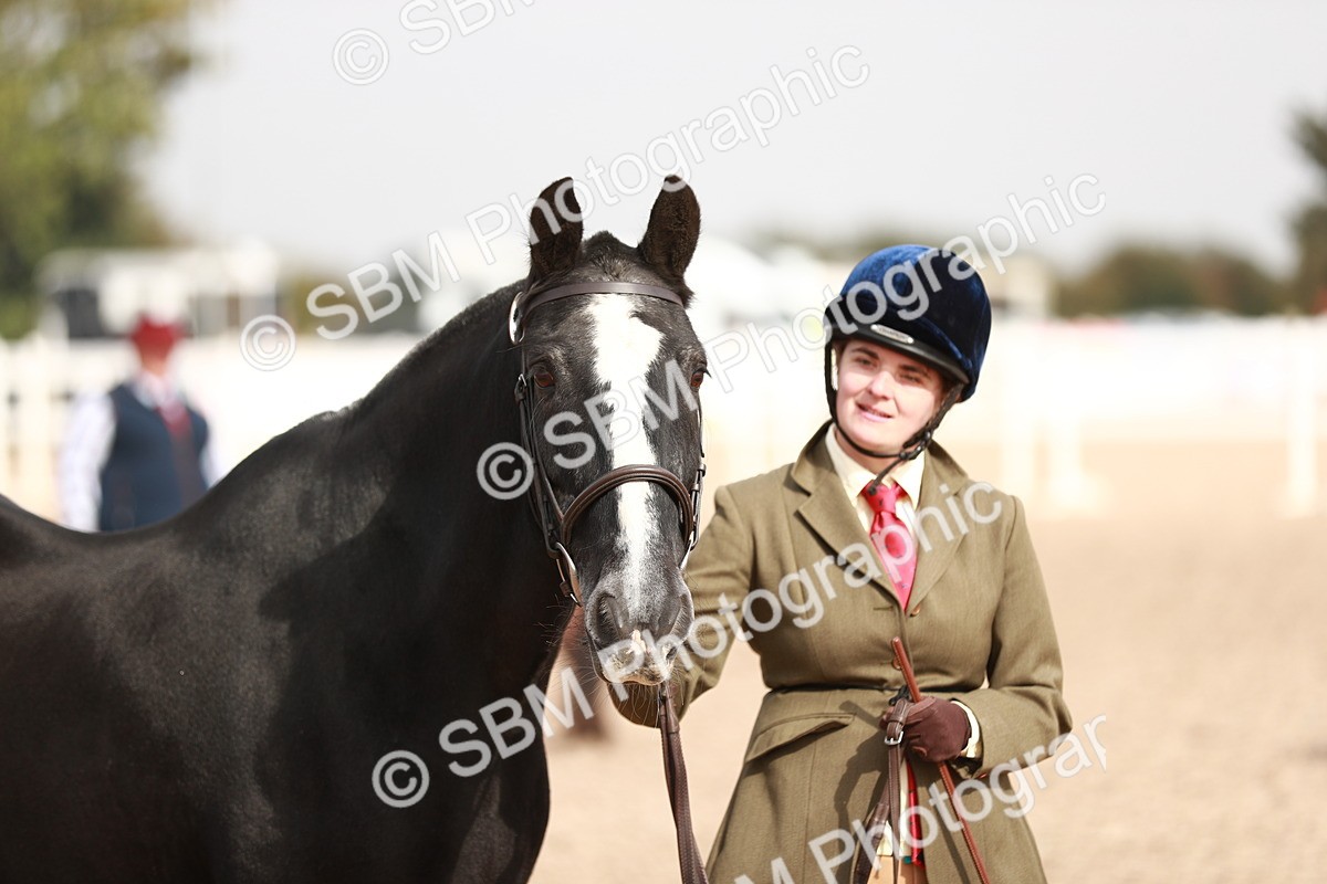 SBM_11882 - Class 206 IH Non Show Type Pony