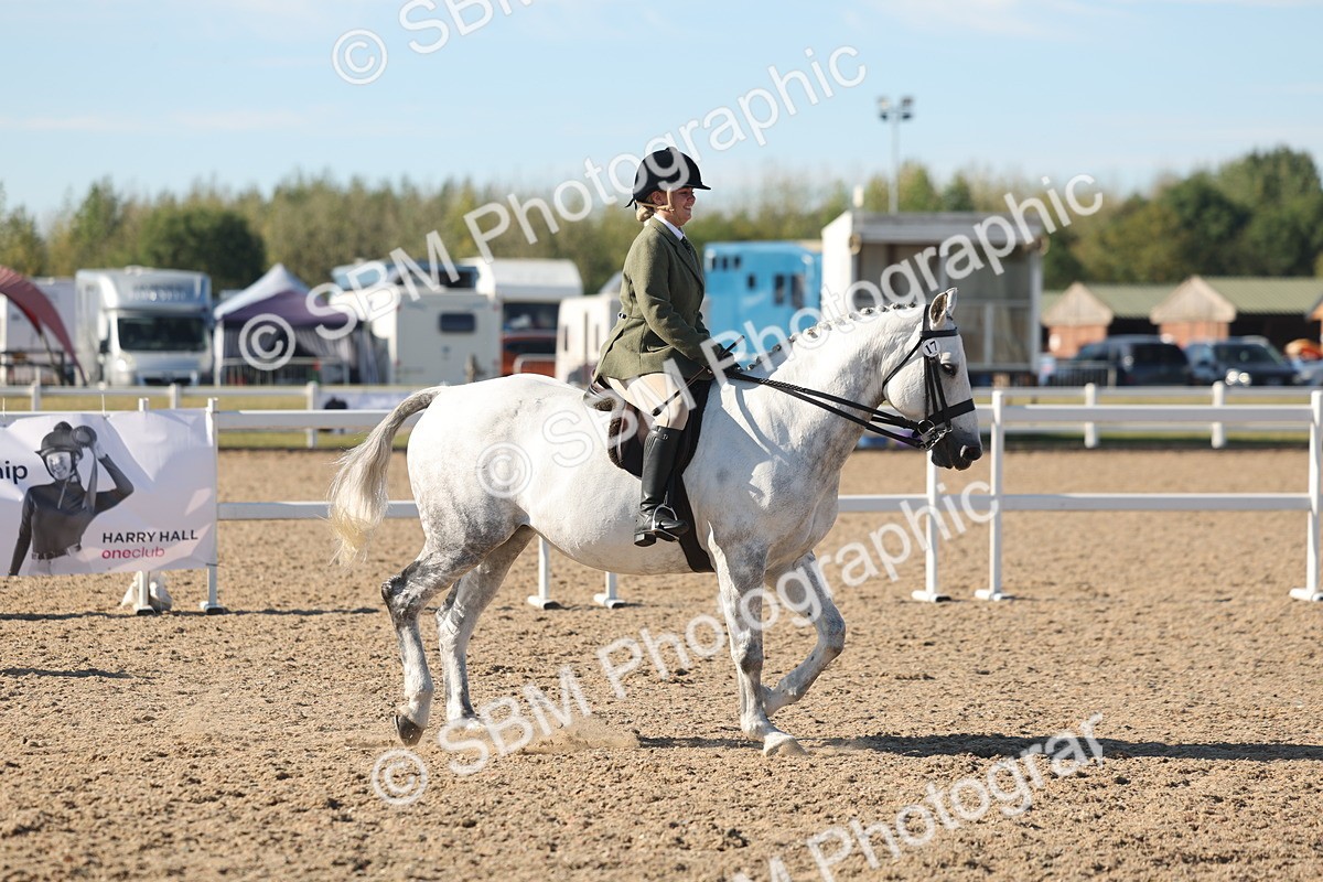 SBM_12322 - Class 304 - Ridden part Bred Horse Pony