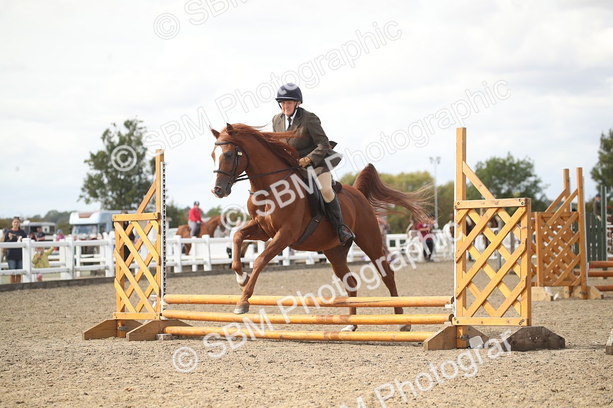 SBM_15280 - Class 506b - Working Veteran - 50cm (20+)