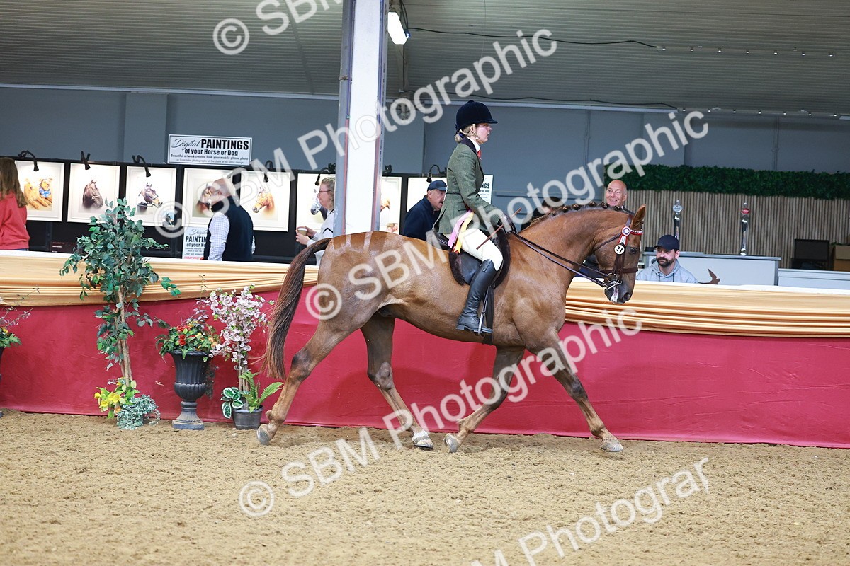 SBM_09897 - Class 102 - HOYS Veteran Qualifier - Ridden Veteran