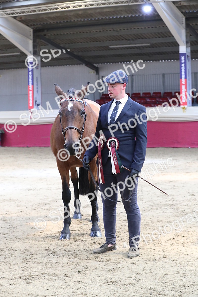 SBM_04473 - Class 7R Regional - IH Diamond