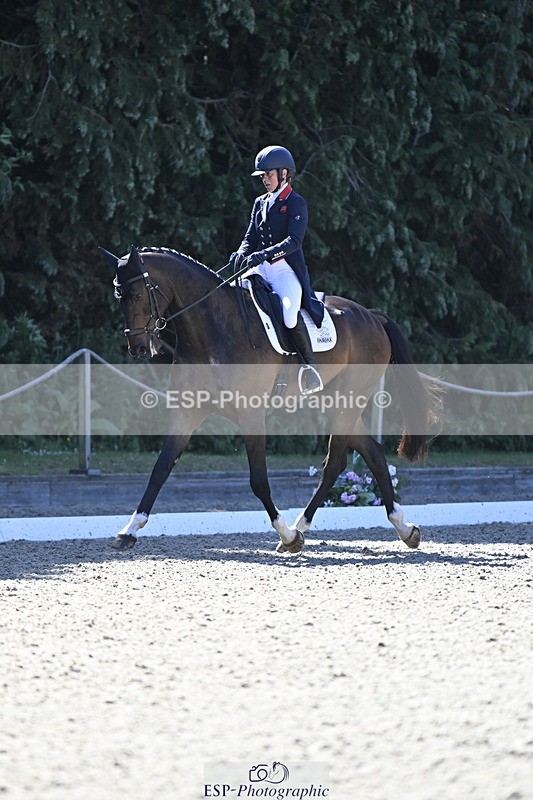 250522A-101417-02654 - B-310-Kitty.King-LISCARROW.FERNHILL