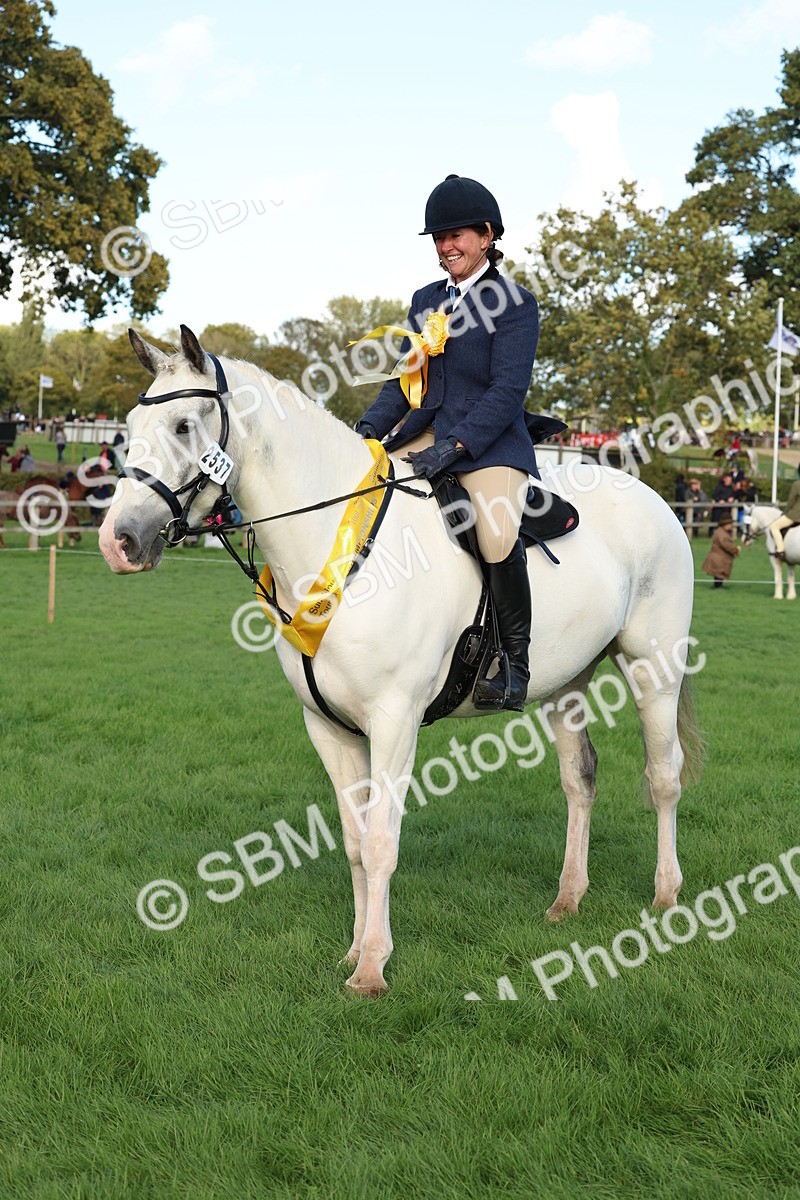 SBM_50181 - S34 - Novice & Newcomers Working Hunter