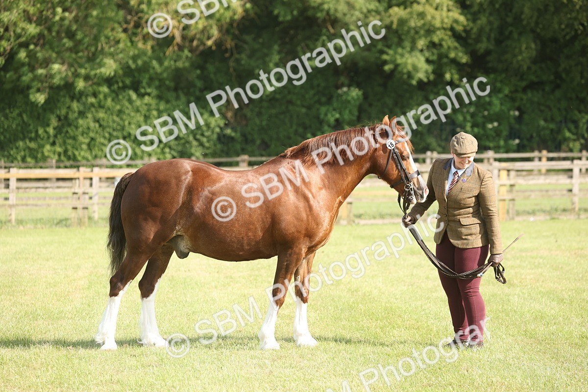 SBM_10303 - Class 33-38 - SSADL RIHS Qualifiers