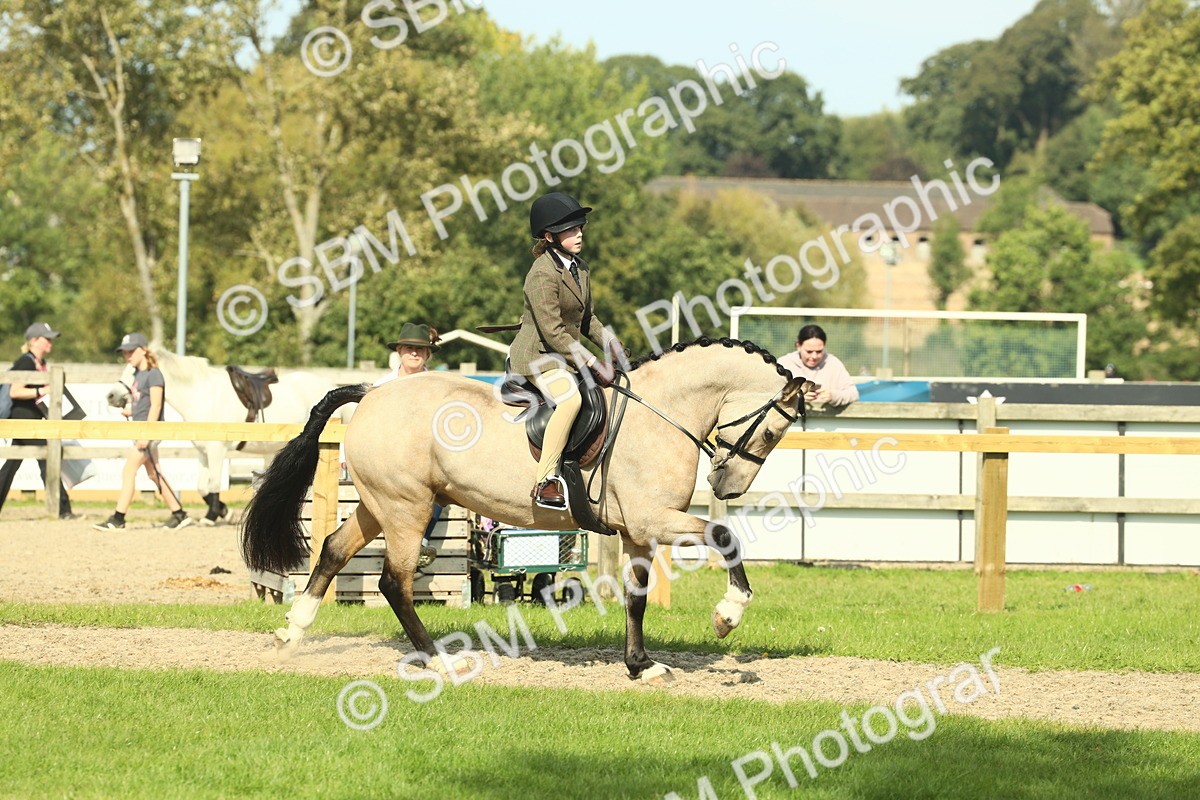 SBM_67634 - S56 - Coloured Pony Ridden