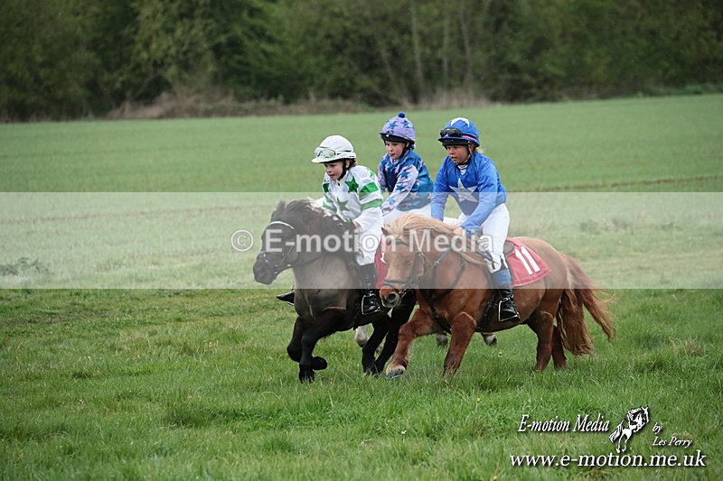 SHETPR 210425 191 - Shetland Ponies Paxford Races 21/04/25