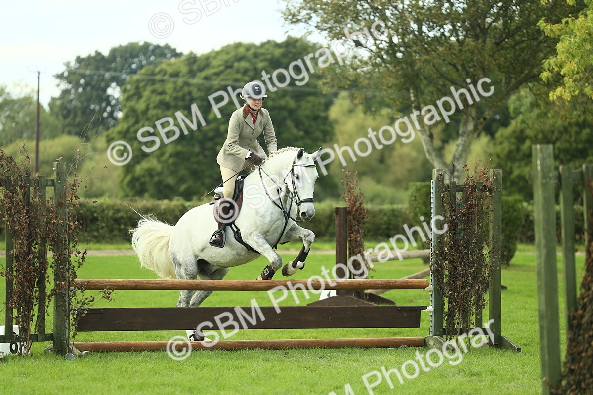 SBM_47990 - S32 - Novice & Newcomers Working Hunter