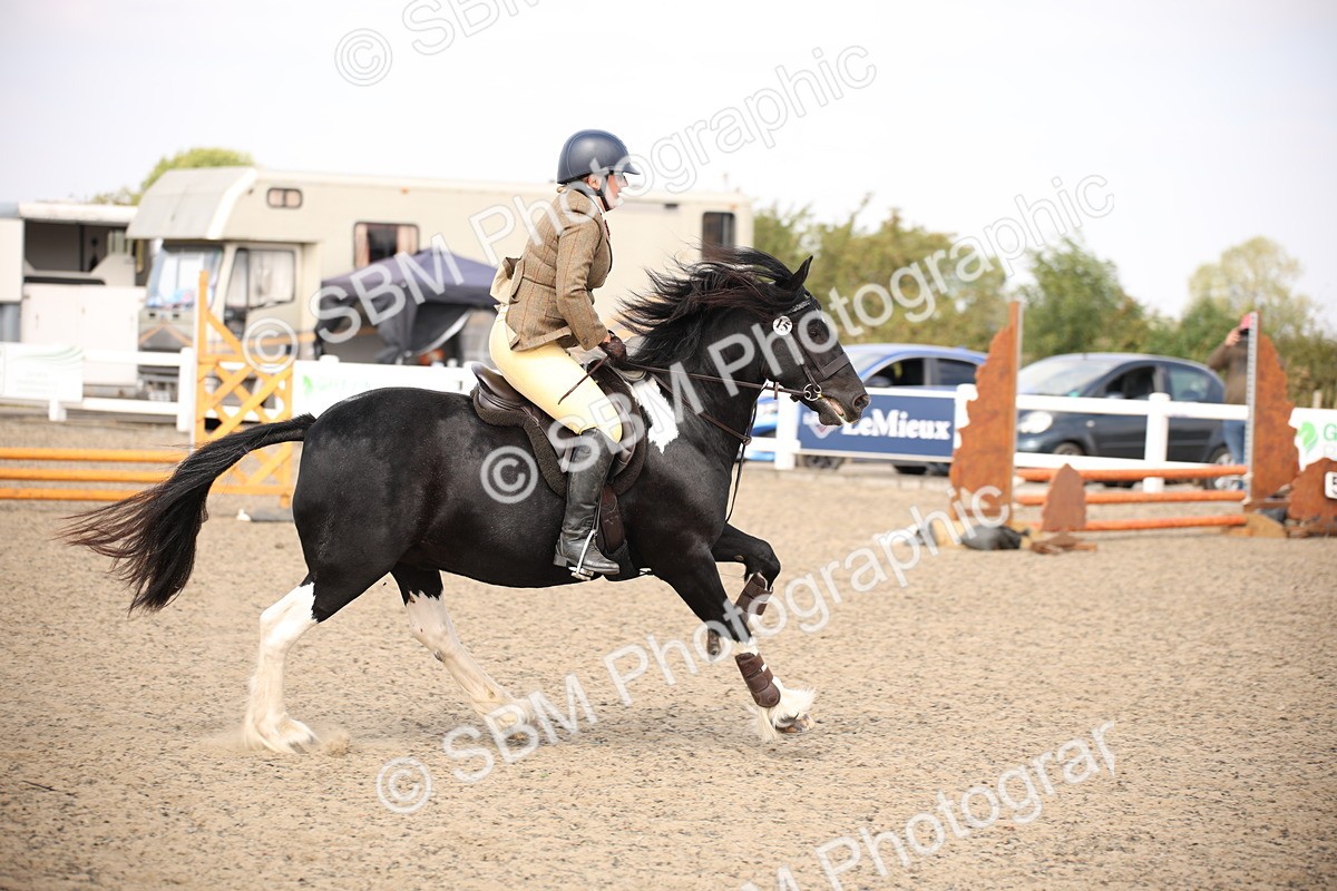 SBM_14225 - Class 407a - Working Veteran 60cm (15-19