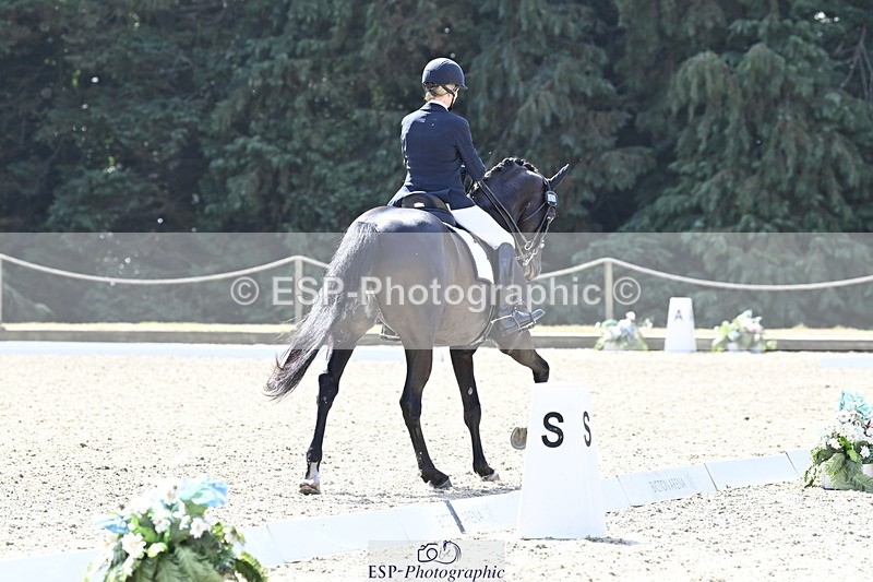 250810A-112125-05367 - 106-Lynn.WickesFurstino