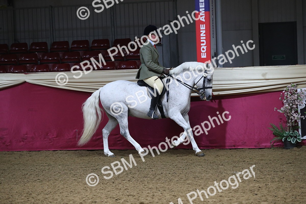 SBM_10366 - Class 102 Equitation (best rider) Adult