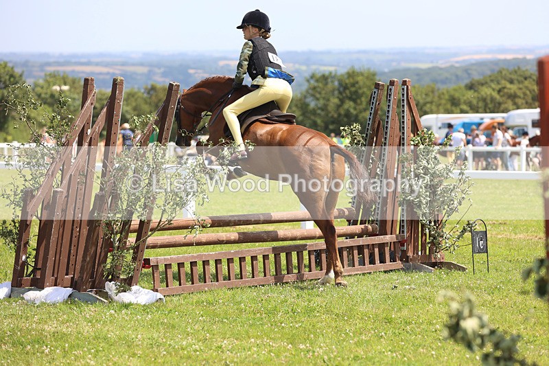 JPP_2583 - Class 21: Working Hunter 60cm